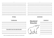 Braunbär-Faltbuch-vierseitig.pdf